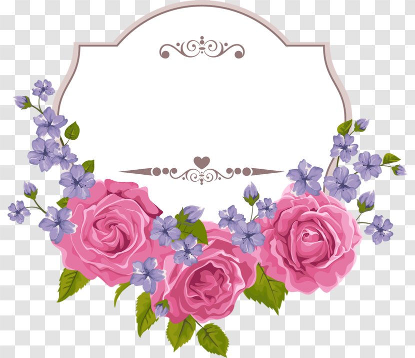 Floral Design Clip Art - Petal - Rose Transparent PNG
