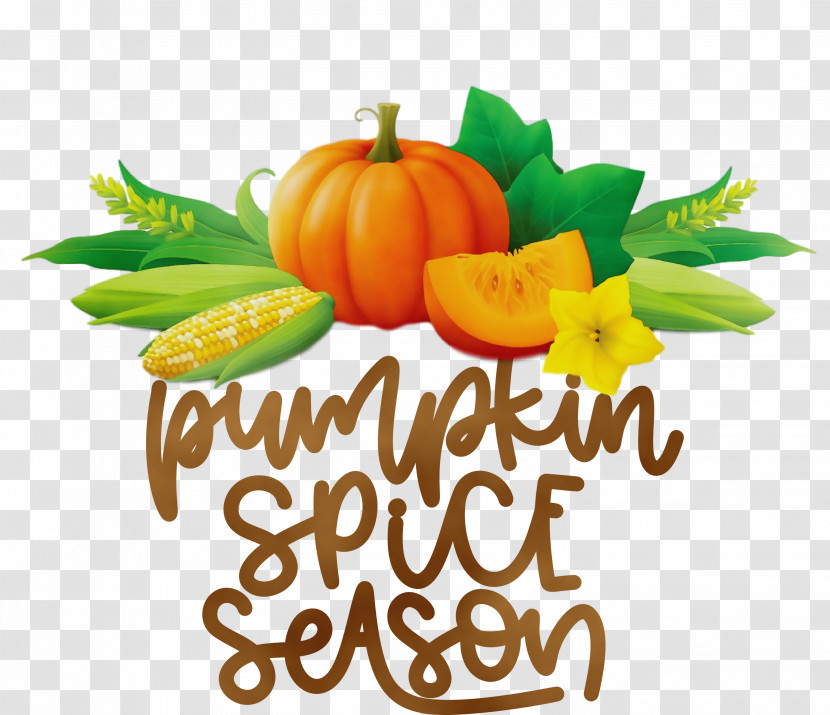 Pumpkin Transparent PNG