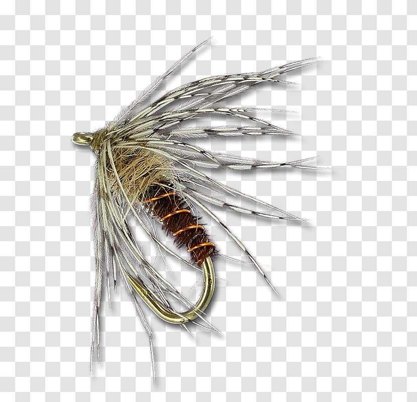 Insect Artificial Fly - Pest - Soft Hackle Flies Transparent PNG