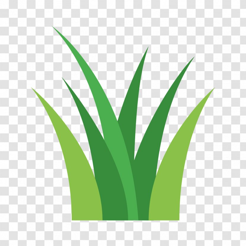 Plant Stem Grasses Desktop Wallpaper - Leaf - Tractor Transparent PNG