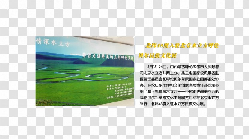 Brand Product 48th Parallel North Latitude Water - Grass - Public Welfare Transparent PNG