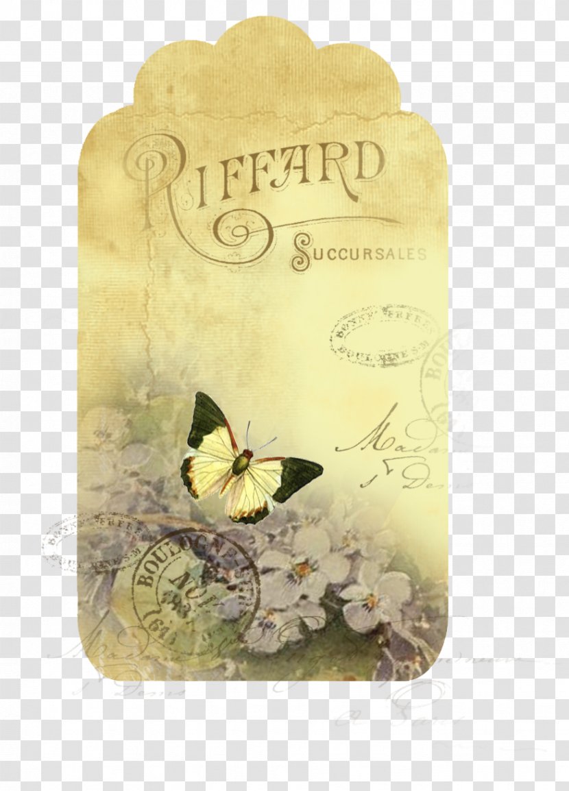 Paper Vintage Clothing Scrapbooking - Insect Transparent PNG