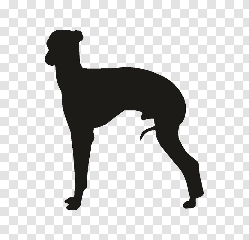 Whippet Italian Greyhound Ibizan Hound Clip Art - Drawing - Silhouette Transparent PNG