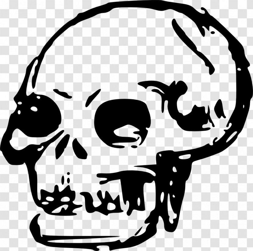 Skull Clip Art - Skeleton - Clipart Transparent PNG