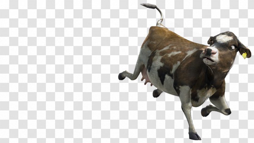 Goat Cattle Snout - Horn - Dairy Farm Transparent PNG