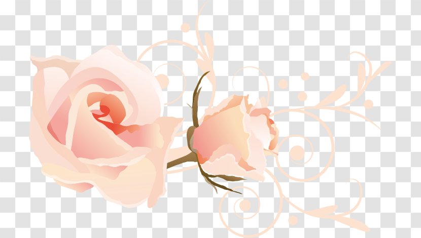 Watercolor Painting - Rose Order - Flowers Transparent PNG