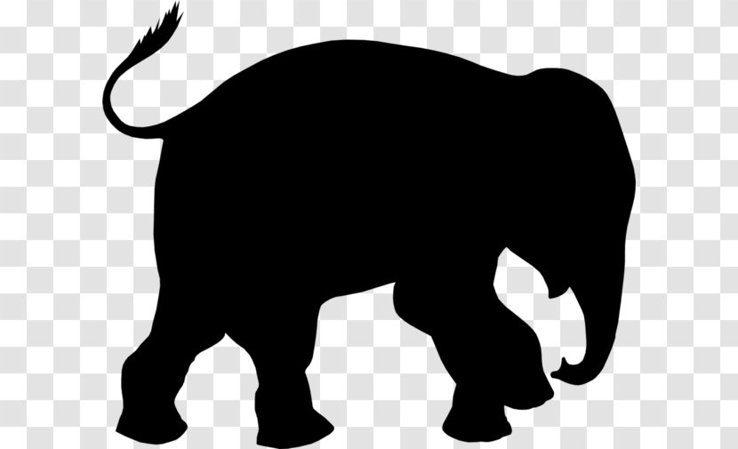 Indian Elephant African Mammal Cattle - Elephants And Mammoths - Stencil Transparent PNG