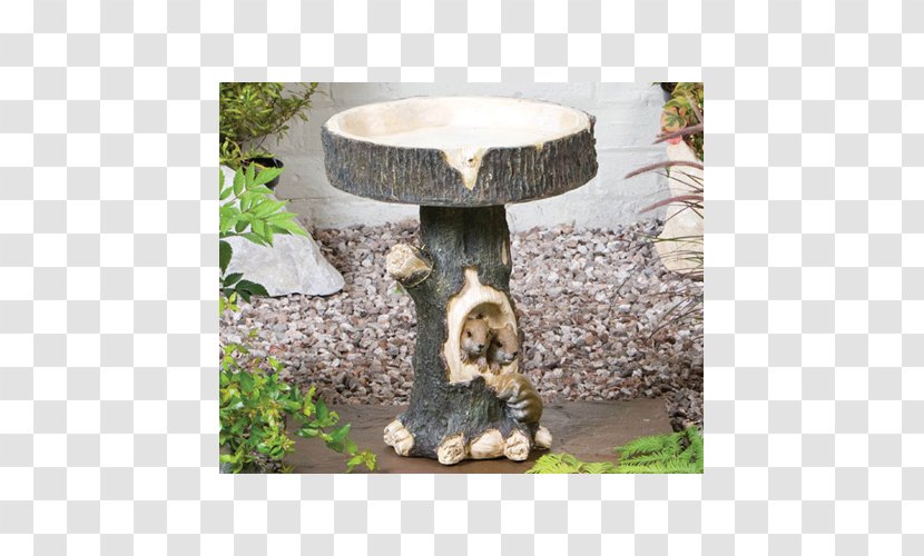 Dog Breed Bird Baths Wildlife Transparent PNG