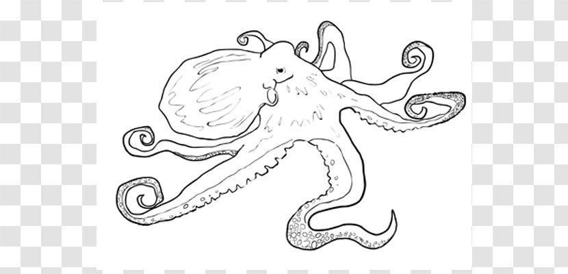 Octopus Drawing Sketchbook Ideas - Frame - Flower Transparent PNG