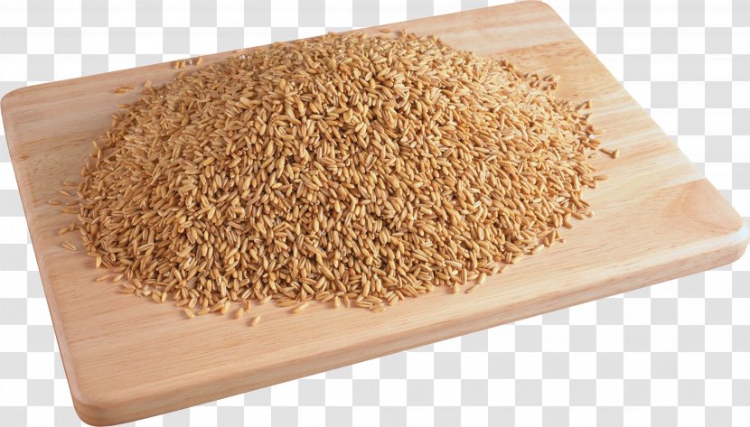 Wheat - Grauds - Commodity Transparent PNG
