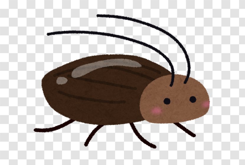 Smokybrown Cockroach Insecticide Termite - Beetle Transparent PNG
