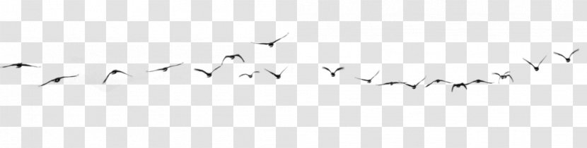 Bird Clip Art - Text Transparent PNG