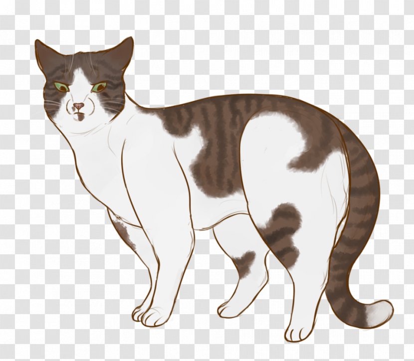 Whiskers Manx Cat Kitten Domestic Short-haired Dog Transparent PNG