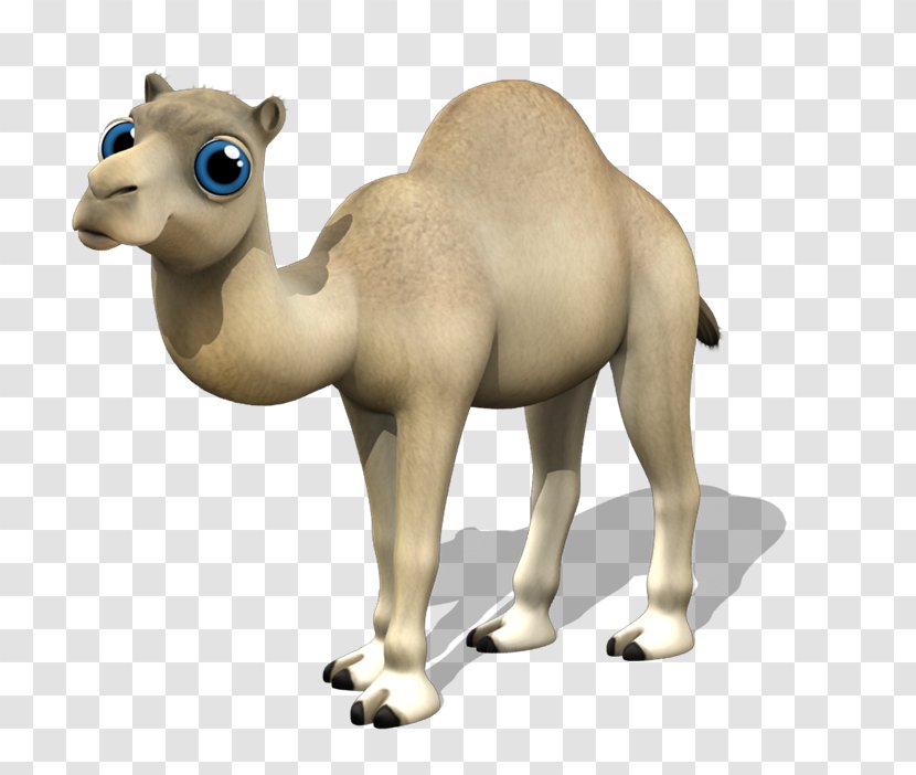 Dromedary Camelids Animation - Terrestrial Animal - Red Badge Transparent PNG