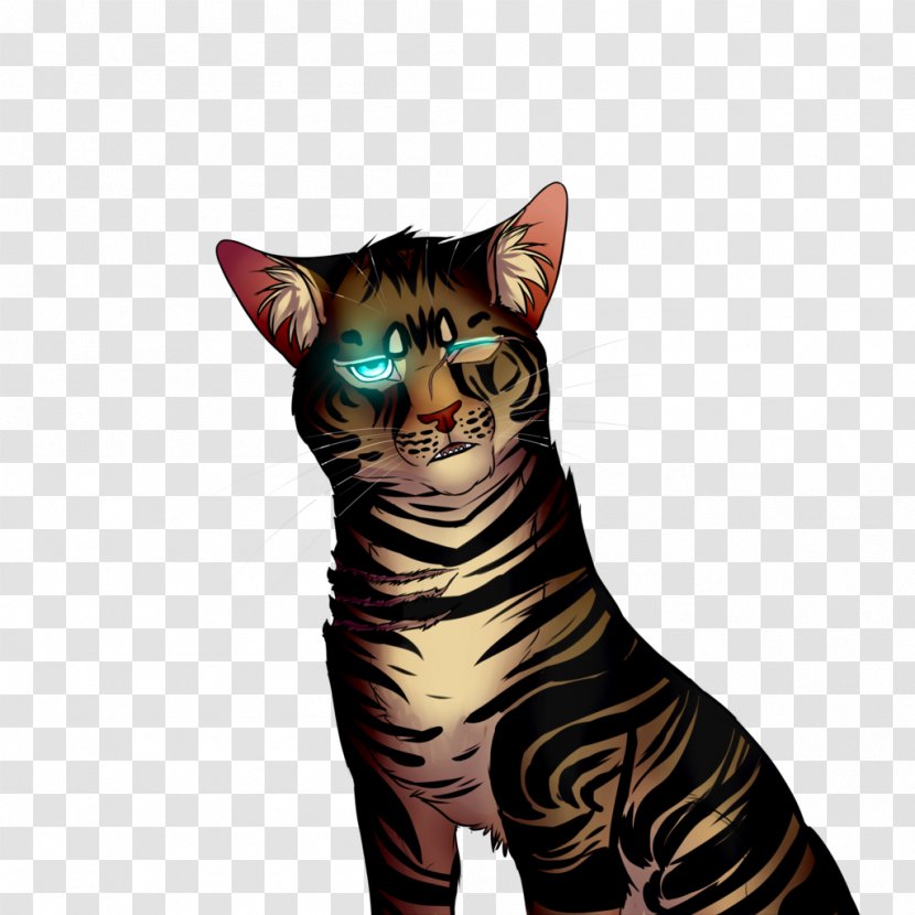 Toyger Bengal Cat Whiskers Tabby Domestic Short-haired - Shiba Inu Drawing Transparent PNG