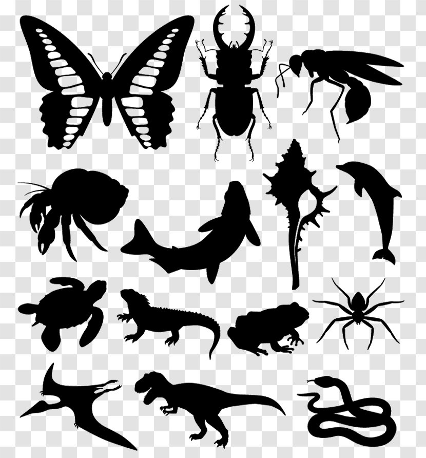 Butterfly Silhouette Insect - Fictional Character Transparent PNG