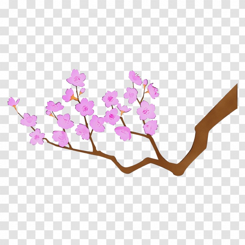 Cherry Blossom - Lilac - Twig Transparent PNG