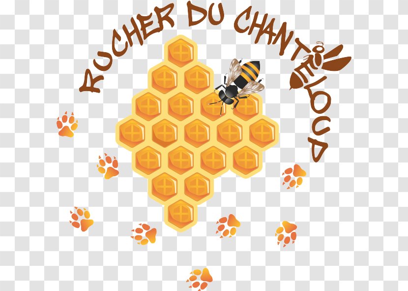 Honey Bee Rucher Du Chanteloup Beehive Honeycomb Beekeeping - Apiary Transparent PNG