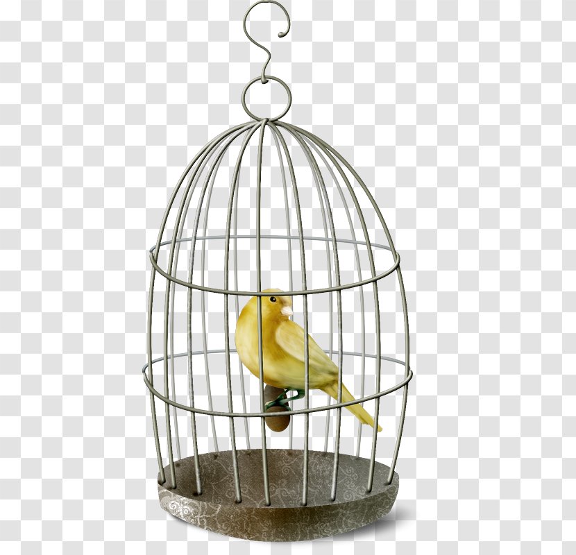 Birdcage Domestic Canary - Bird Transparent PNG