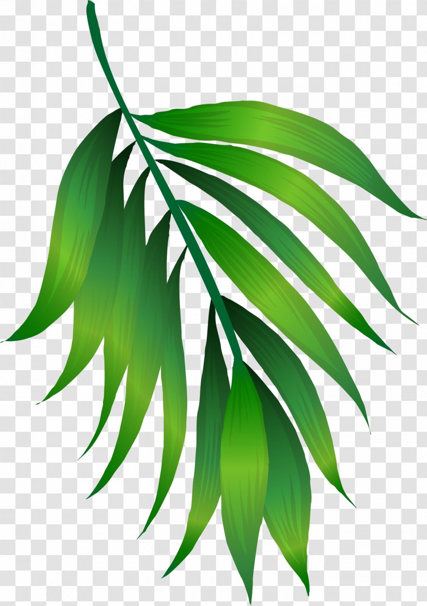 Green Leaf - Brown - Simple Leaves Transparent PNG