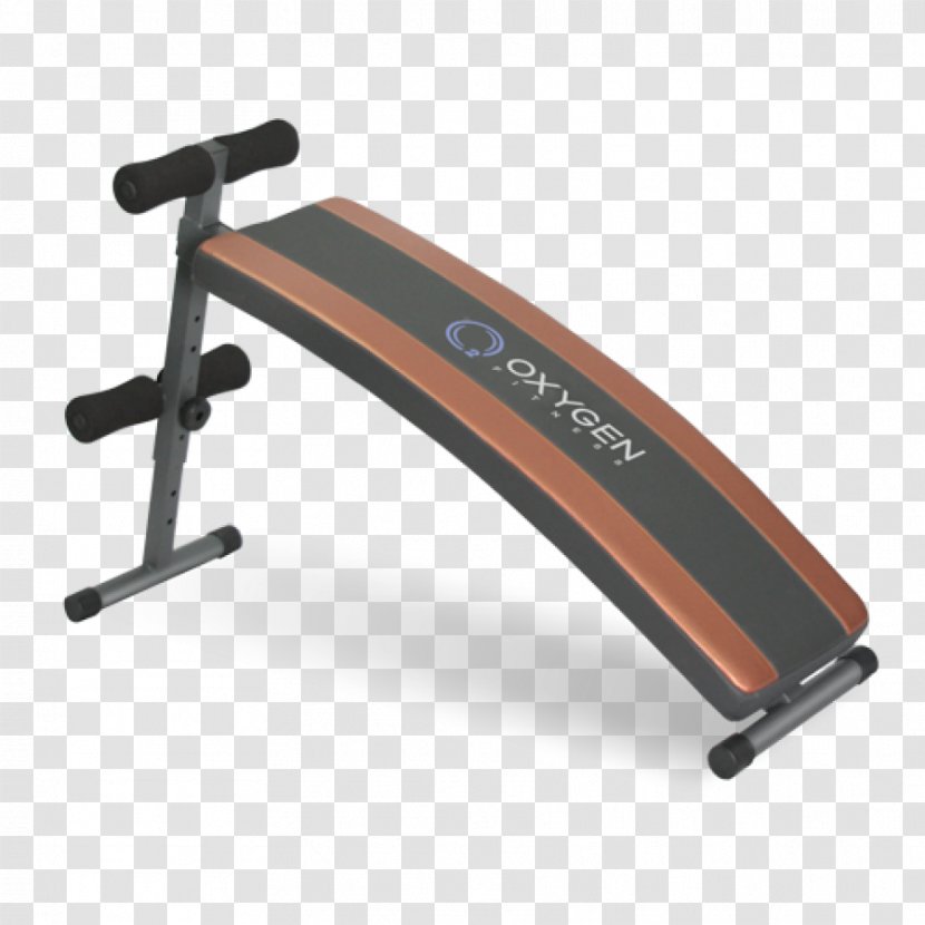 Sit-up Bodybuilding Physical Fitness Exercise Machine Arc - Situp - Boar Transparent PNG