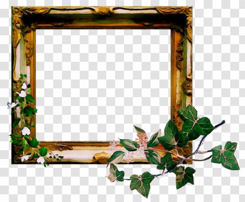 Picture Frames Image Ornament Clip Art - Plant - Stock Photography Transparent PNG