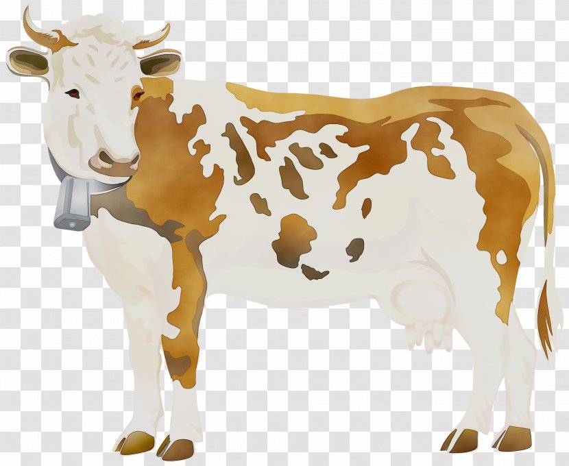 Holstein Friesian Cattle Clip Art Angus Transparency - Cowgoat Family - Fawn Transparent PNG