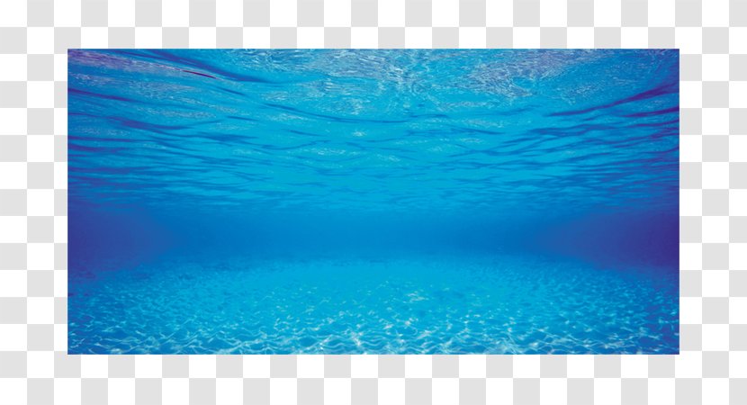 Aquarium Aquascaping Fish Pet VetMedsDirect - Viovet Ltd - Water Transparent PNG