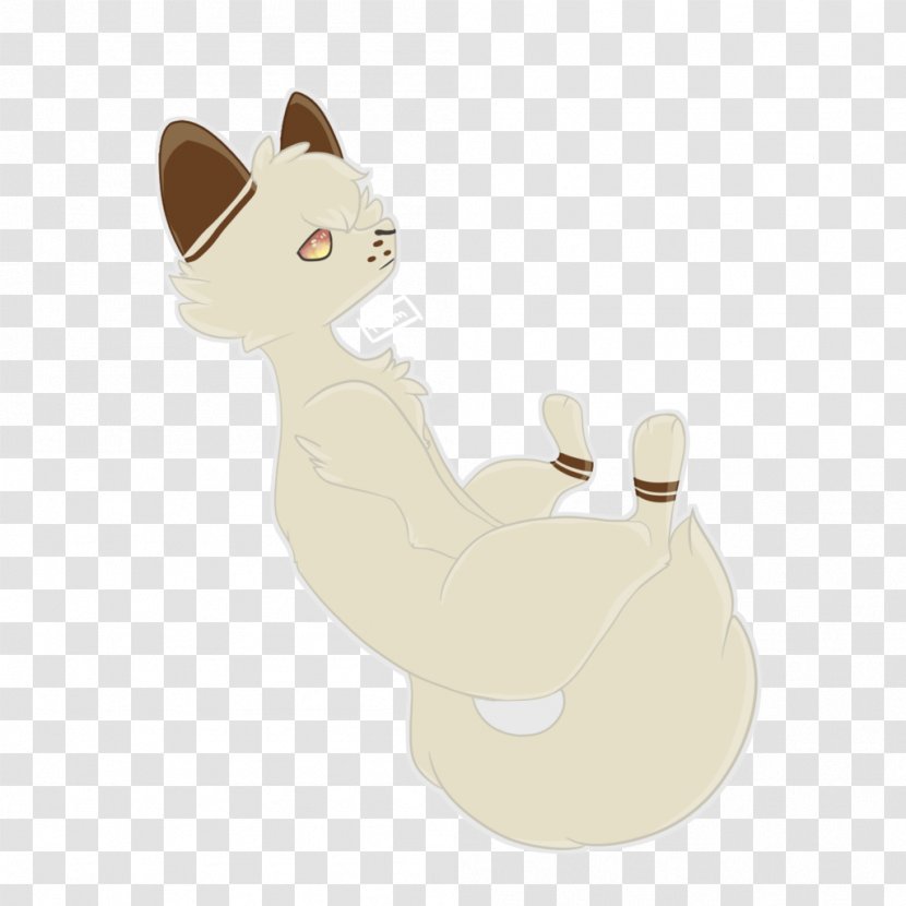 Whiskers Cat Dog Canidae Paw - Animated Cartoon Transparent PNG