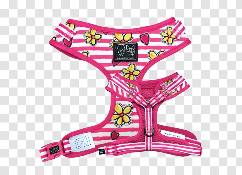 Dog Harness Leash Collar Horse Harnesses - Mexican Fiesta Transparent PNG