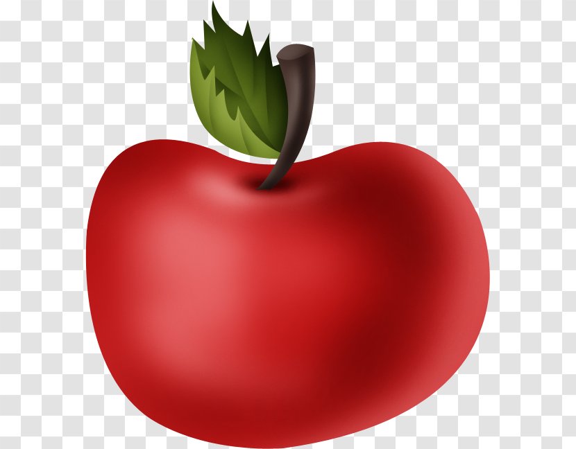 Apple Drawing Transparent PNG