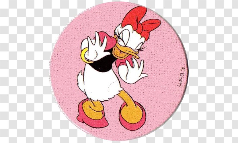 Daisy Duck Rooster Character Cygnini Transparent PNG
