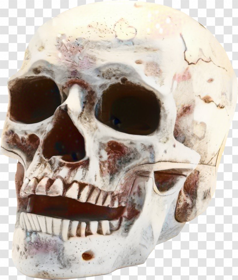 Human Skull Drawing - Death - Mouth Forehead Transparent PNG