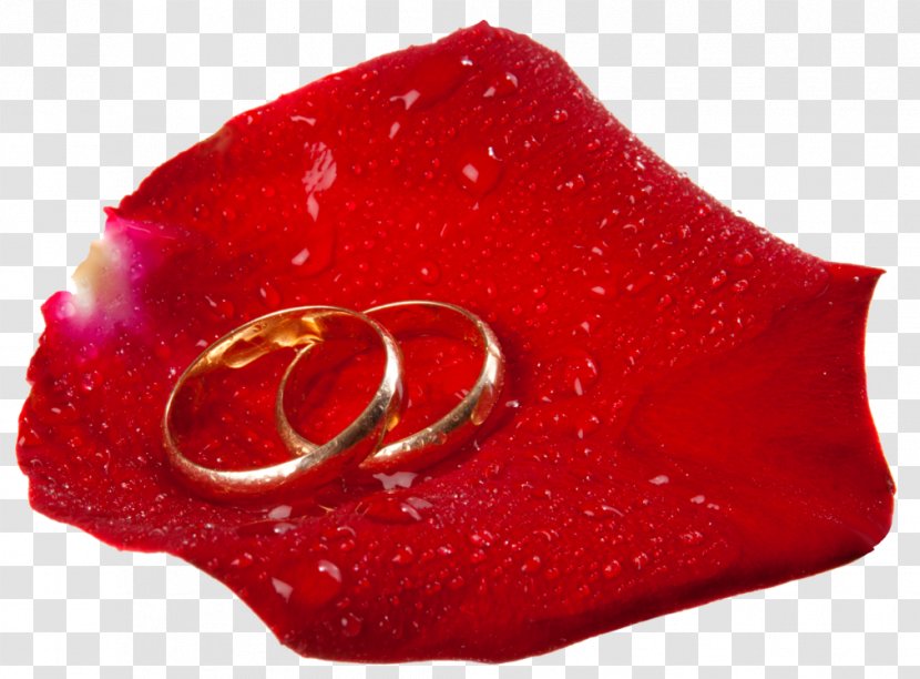 Wedding Ring Engagement Clip Art - Magenta - Artist Transparent PNG