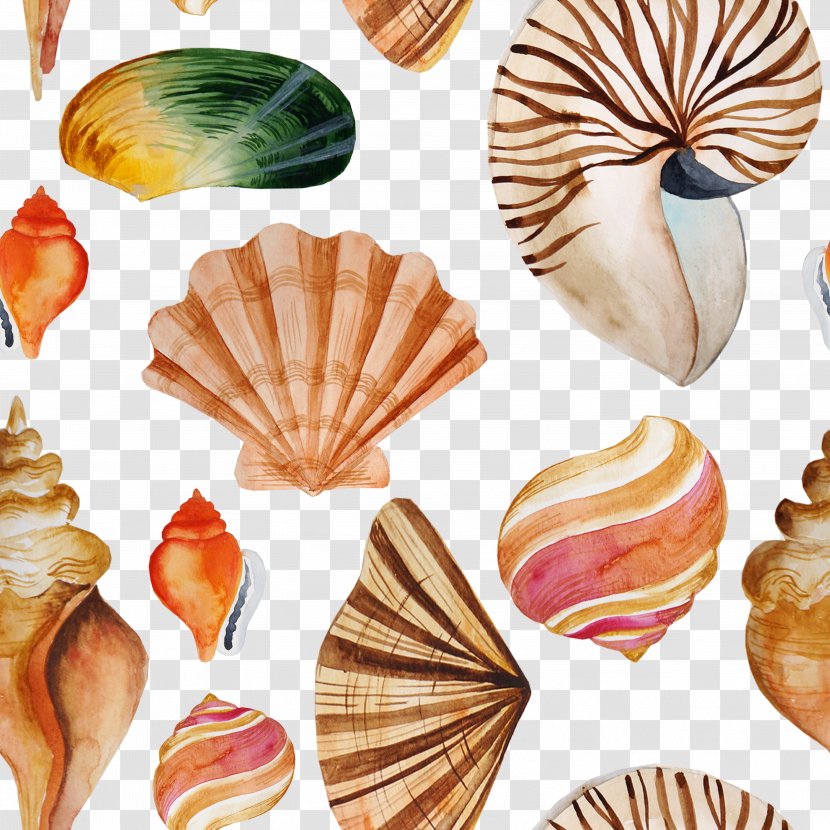 Seashell Textile Tayrona Store - Price - Tile Shading Shellfish Transparent PNG