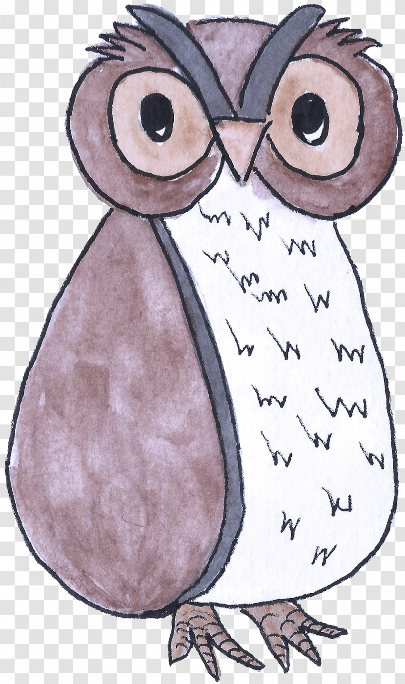 Bird Owl Cartoon Eastern Screech Owl Flightless Bird Transparent PNG