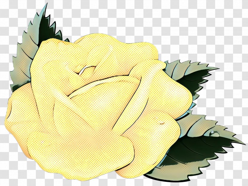 Flowers Background - Garden Roses - Hybrid Tea Rose Austrian Briar Transparent PNG