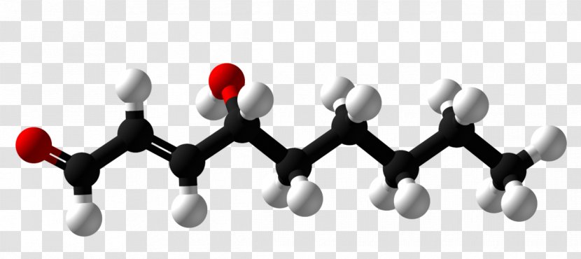 Molecule Ball-and-stick Model Calcium Fluoride Adrenaline Hydrofluoric Acid - Tree - X Transparent PNG