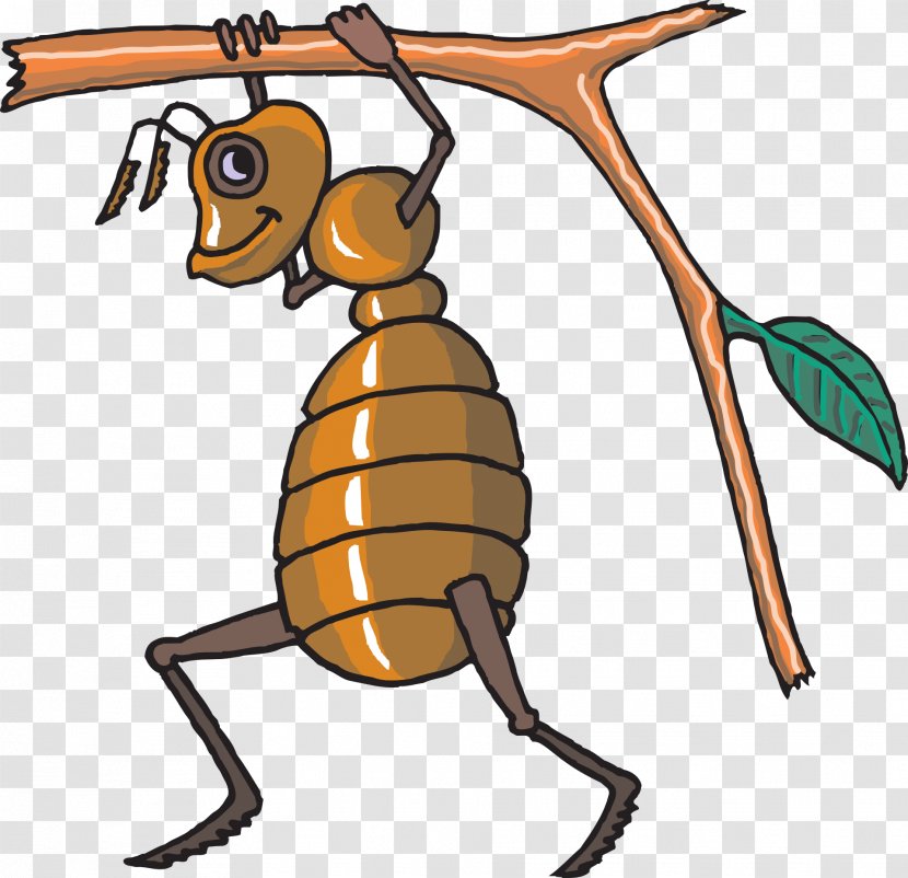 Honey Bee Hornet Clip Art - Insect - Ants Transparent PNG