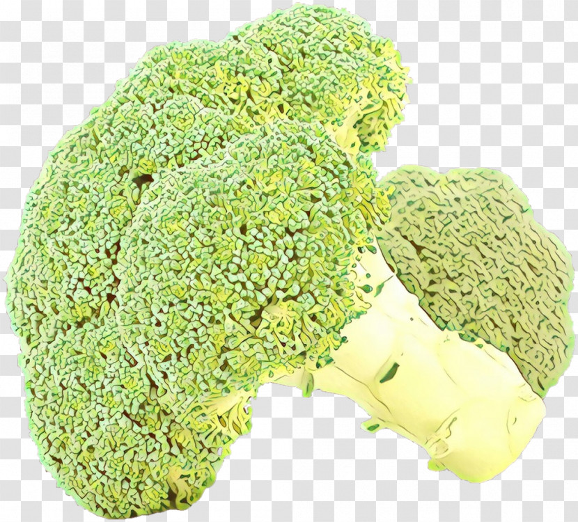 Broccoli Leaf Vegetable Food Wild Cabbage Plant Transparent PNG