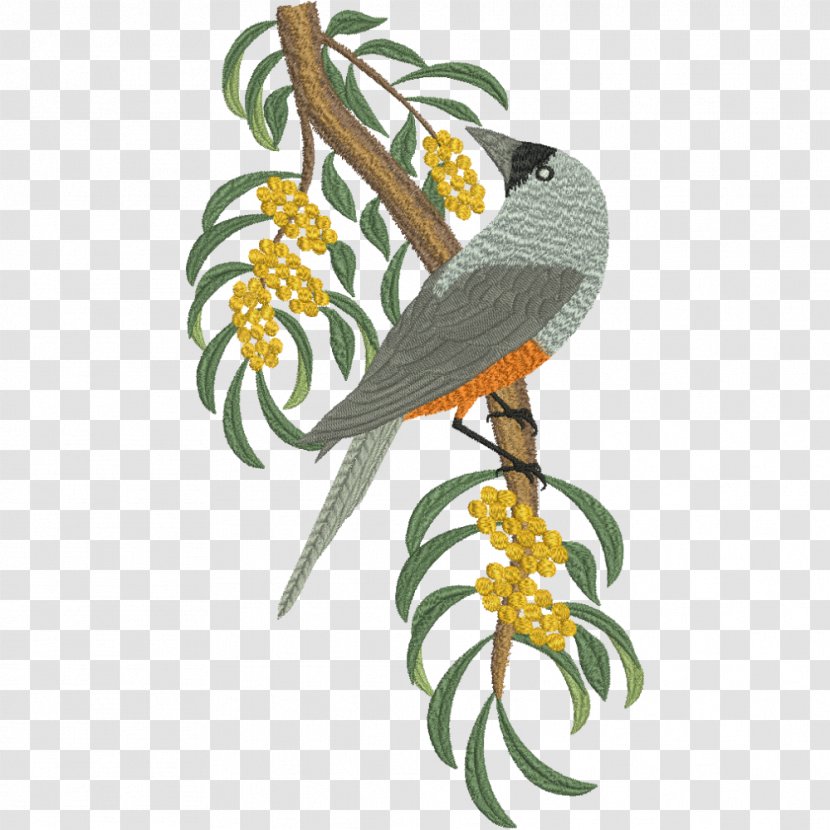 Bird Parrot Machine Embroidery - Rainbow Lorikeet Transparent PNG