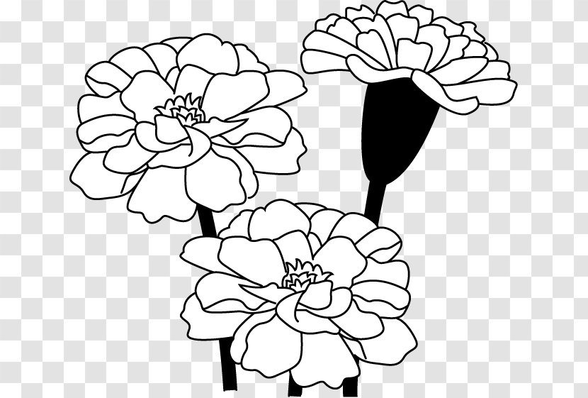 Floral Design Black And White Drawing Visual Arts - Heart - Flower Transparent PNG