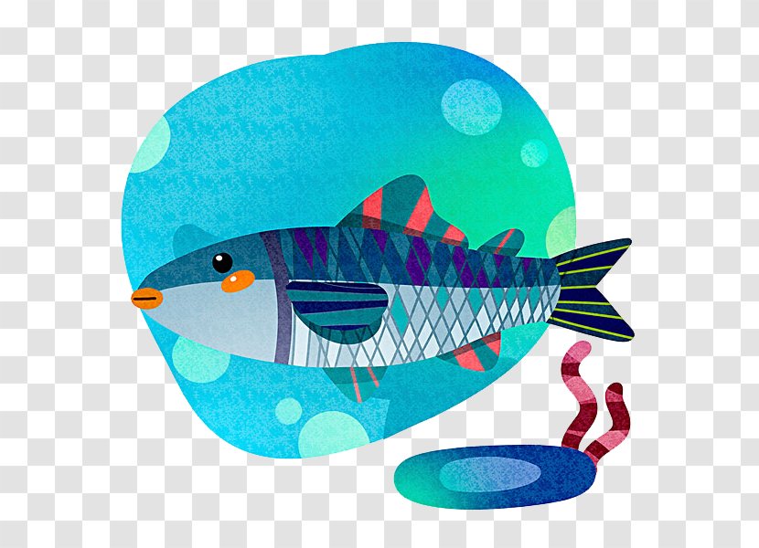 Fish - Google Images - Blue Transparent PNG