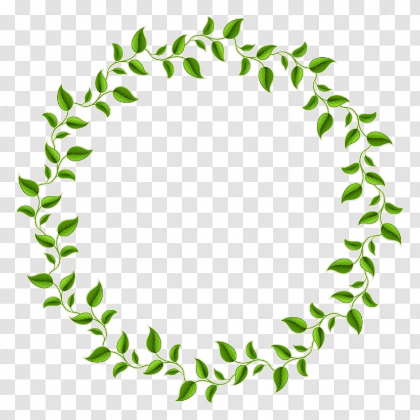 Leaf Green Circle Picture Frame - Leaves Decorative Transparent PNG