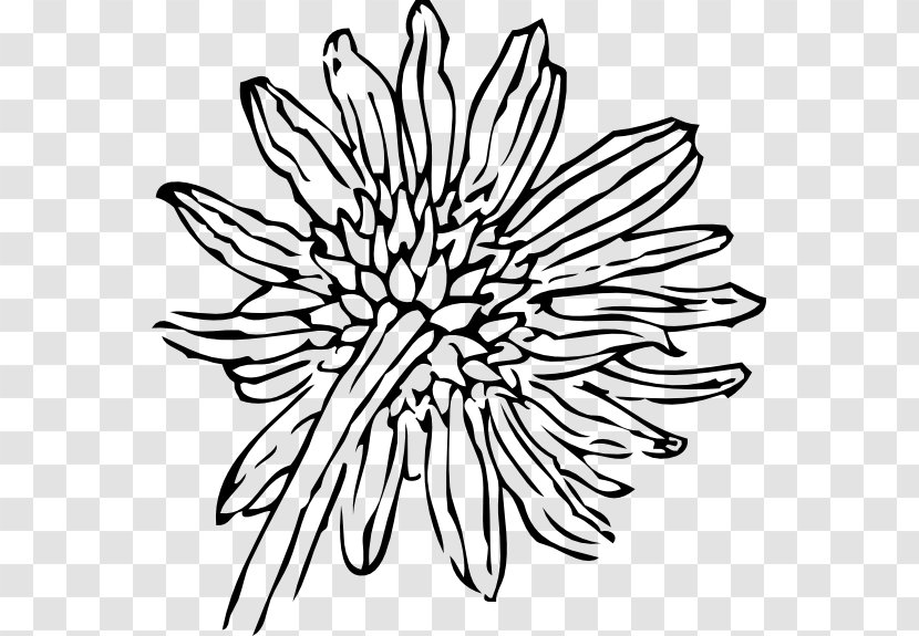 Drawing Clip Art - Organism - Sun Flower Transparent PNG