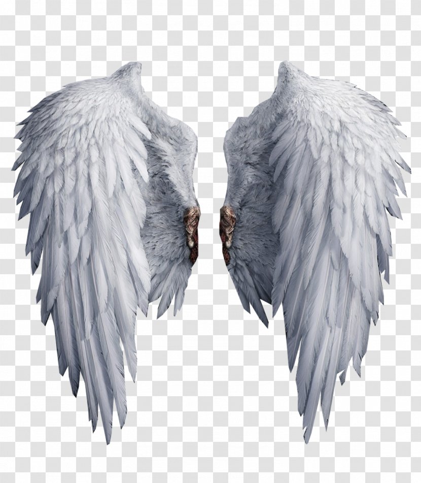 Clip Art - Angel - White Wings Transparent PNG