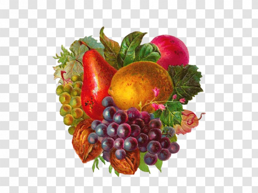 Fruit Apple Clip Art Grape - Leaf Transparent PNG