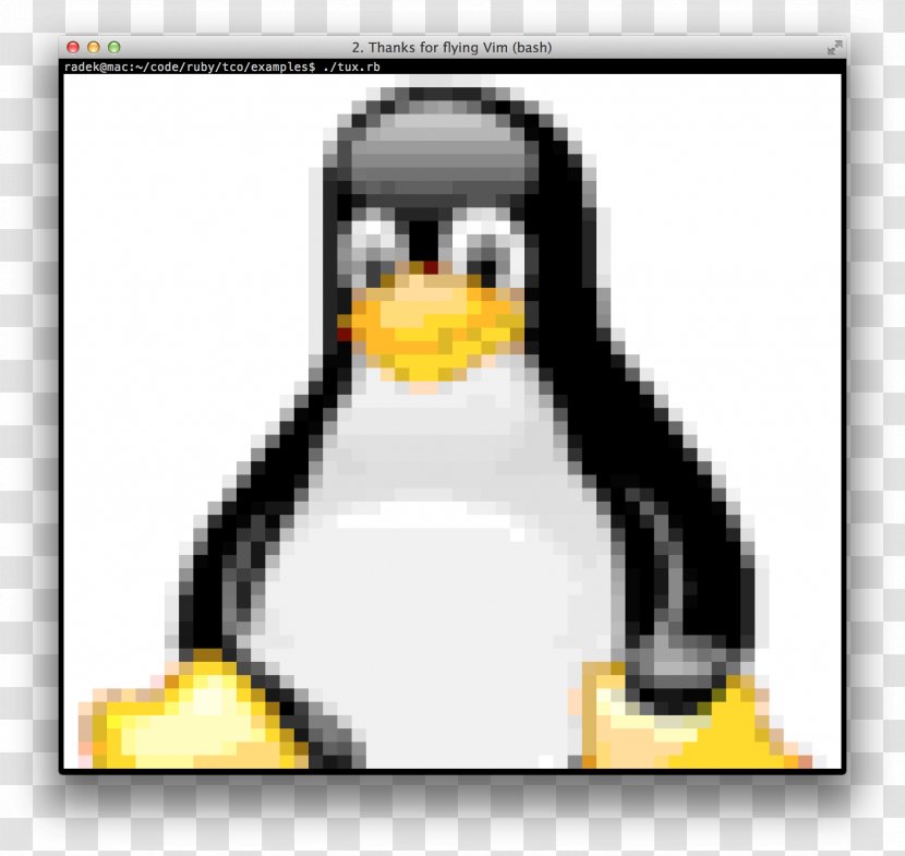 Linux Kernel Tux Unix Distribution - Beak Transparent PNG