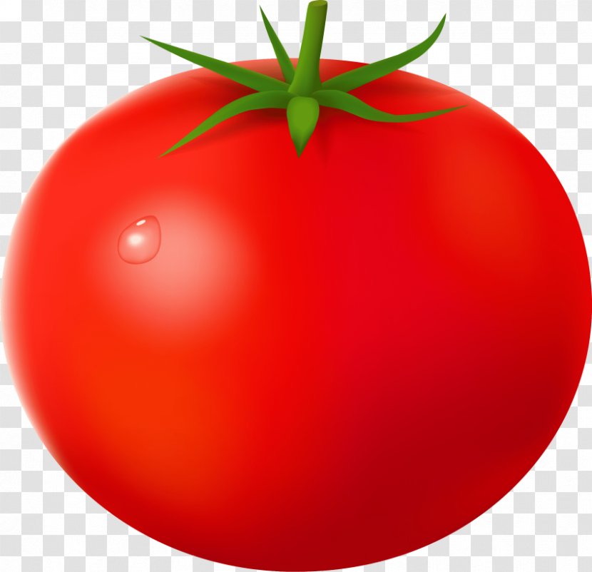 Clip Art Transparency Cherry Tomato Image - Plum - Vegetable Transparent PNG