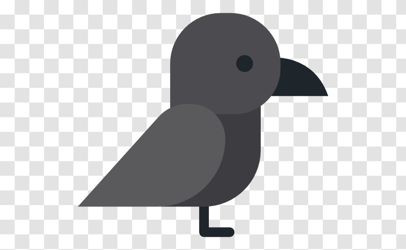 Common Raven Clip Art - Flightless Bird - Black And White Transparent PNG